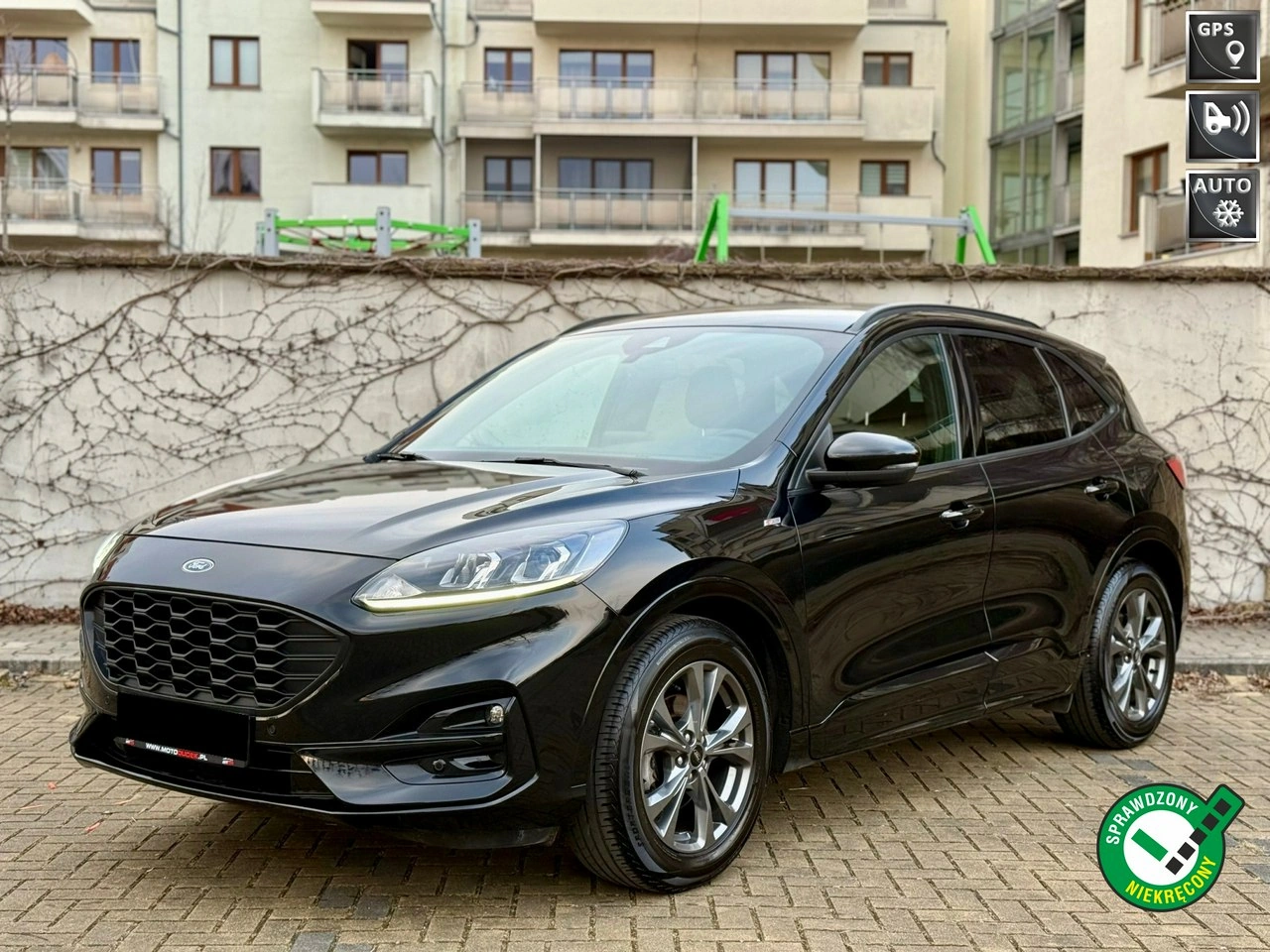 Ford Kuga - Główne zdjęcie