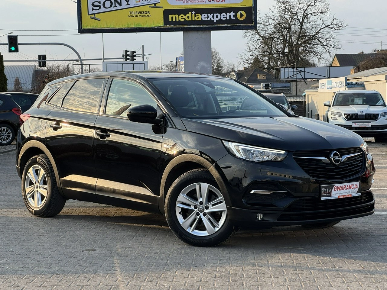 Opel Grandland X - Zdjęcie 10