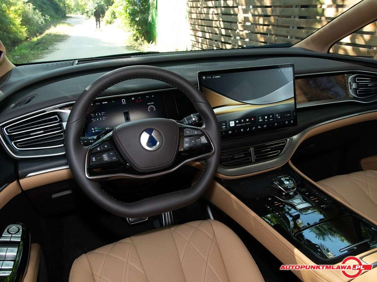 Denza D9 - Zdjęcie 8