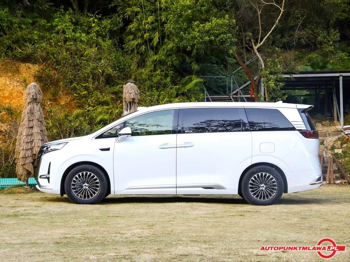 Denza D9 - Zdjęcie 4