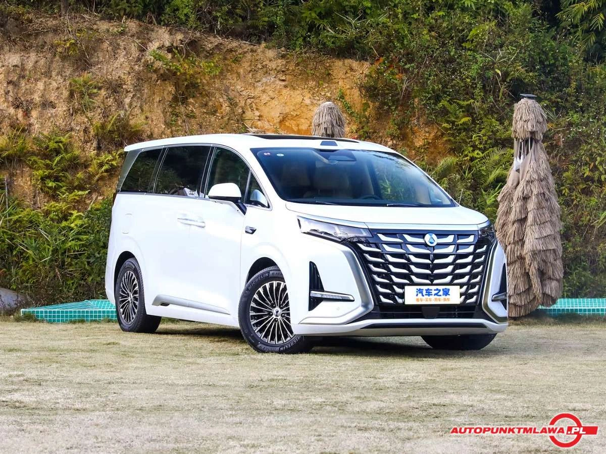 Denza D9 - Zdjęcie 1