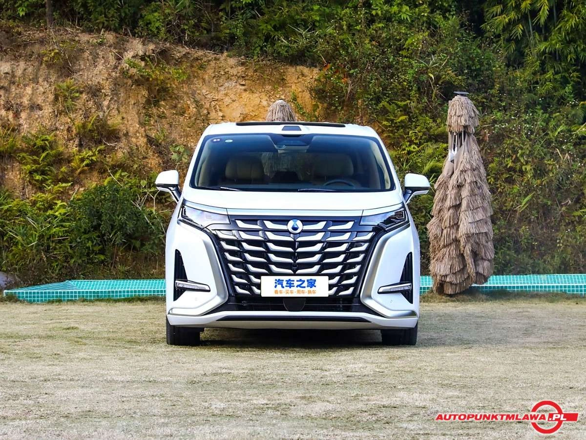 Denza D9 - Zdjęcie 2