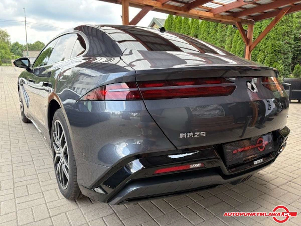 Denza Z9 - Zdjęcie 6