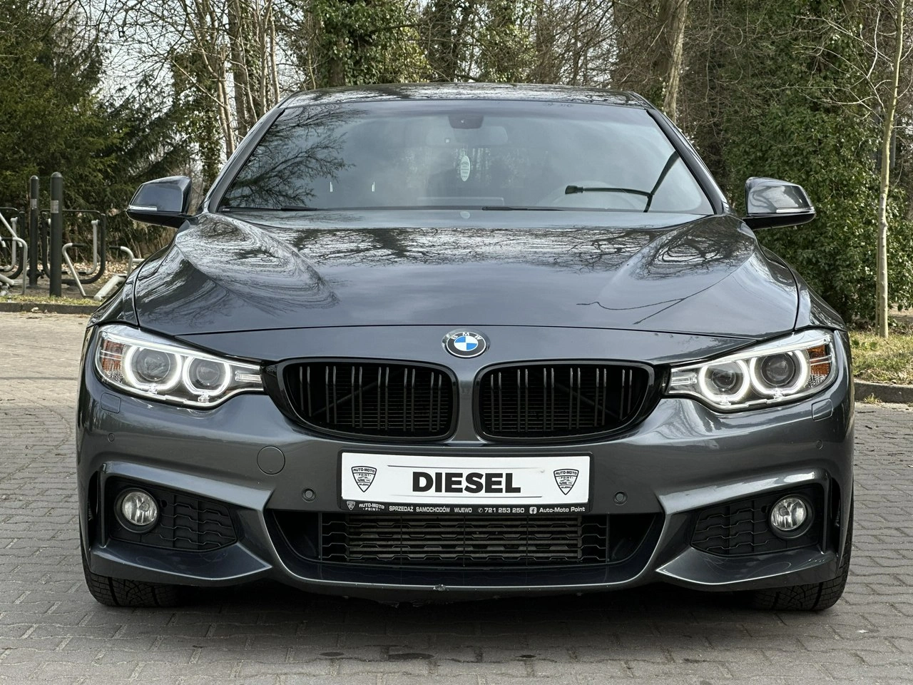 BMW 420 - Zdjęcie 60