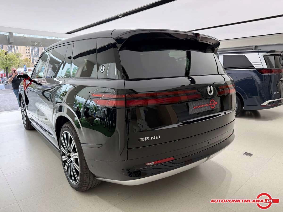 Denza N9 - Zdjęcie 3