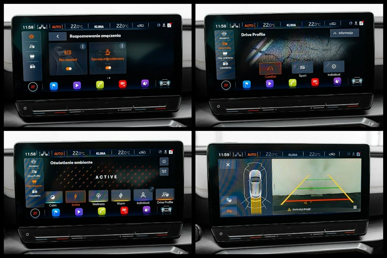 Cupra Formentor - Zdjęcie 18