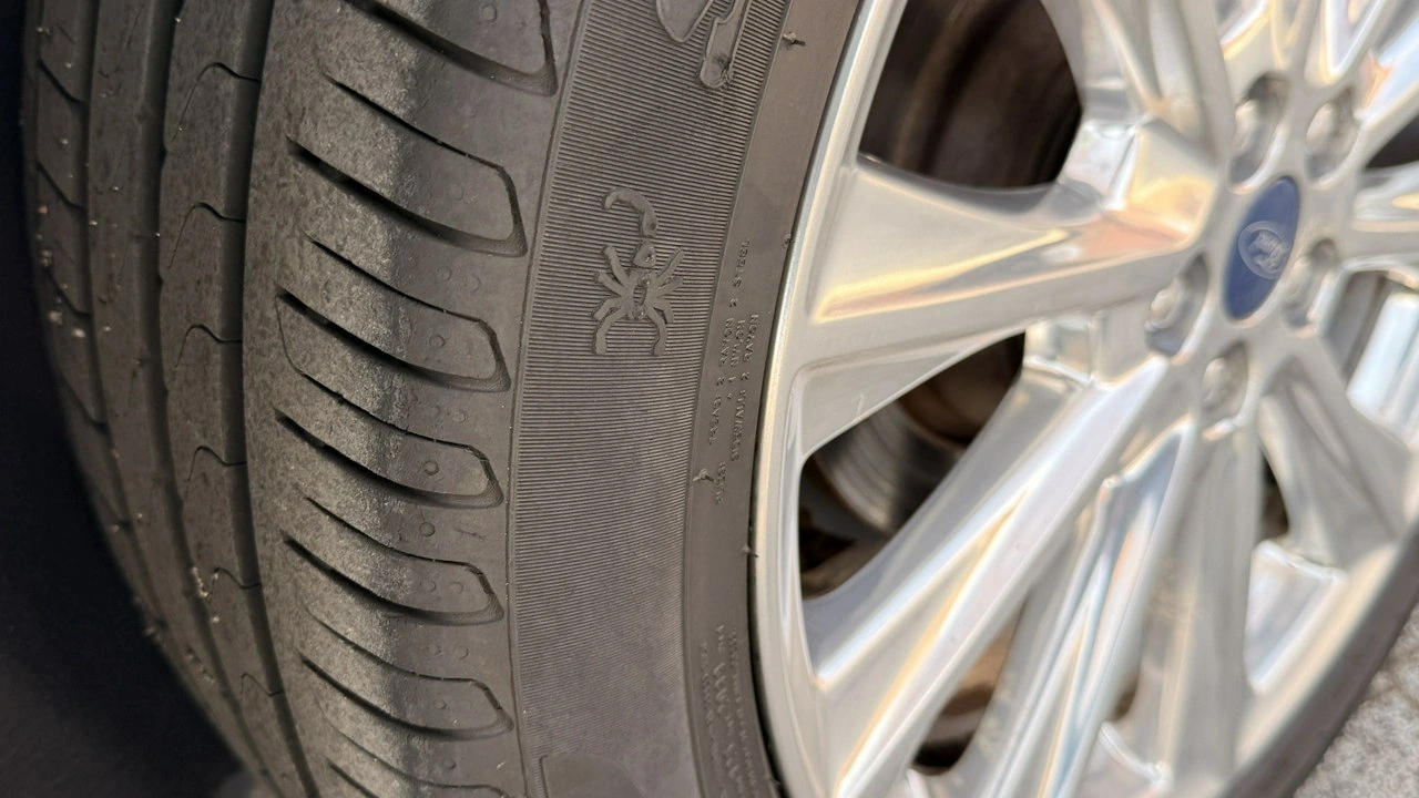 Ford Edge - Zdjęcie 11