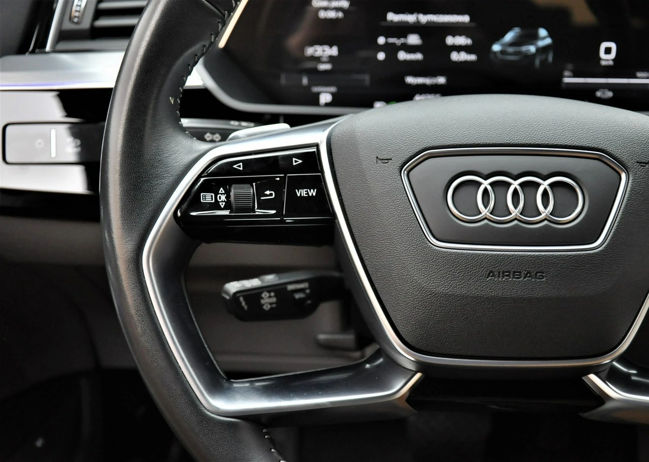 Audi e-tron - Zdjęcie 18
