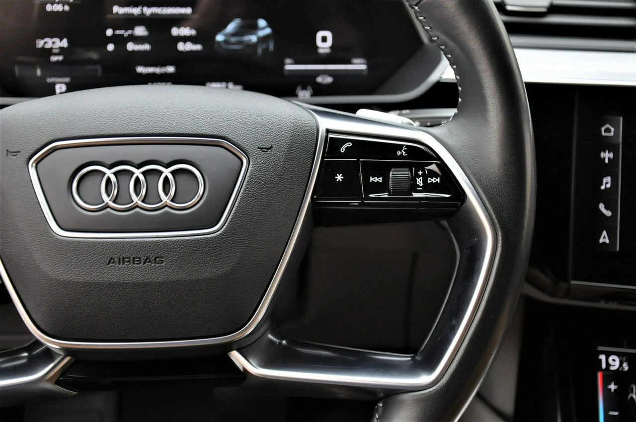 Audi e-tron - Zdjęcie 19
