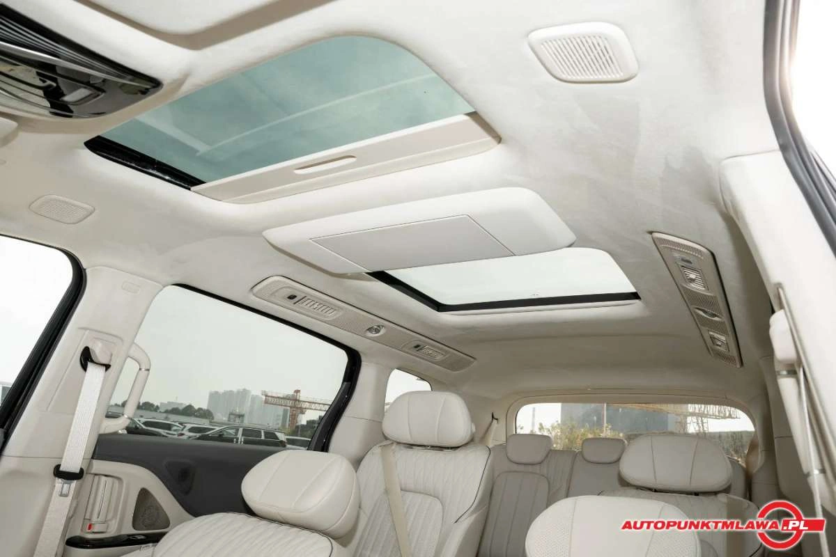 Voyah Dream - Zdjęcie 24