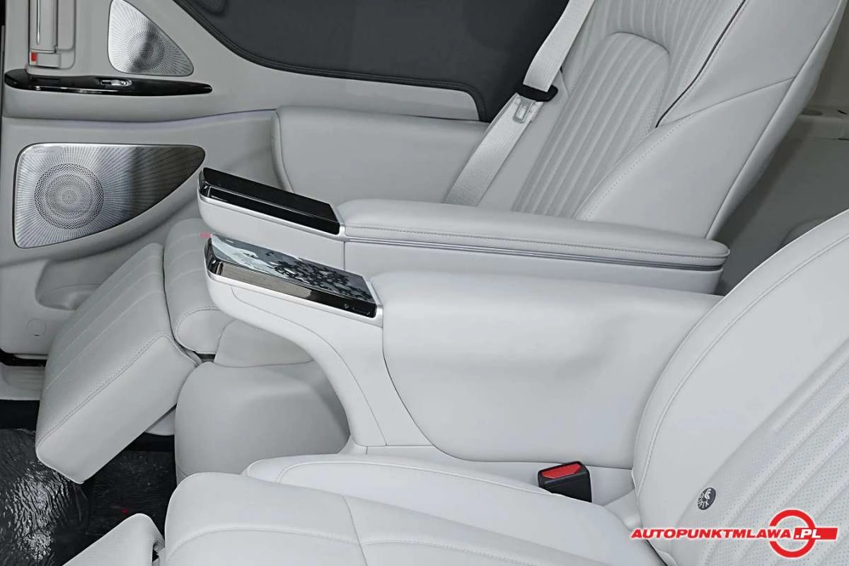 Voyah Dream - Zdjęcie 22