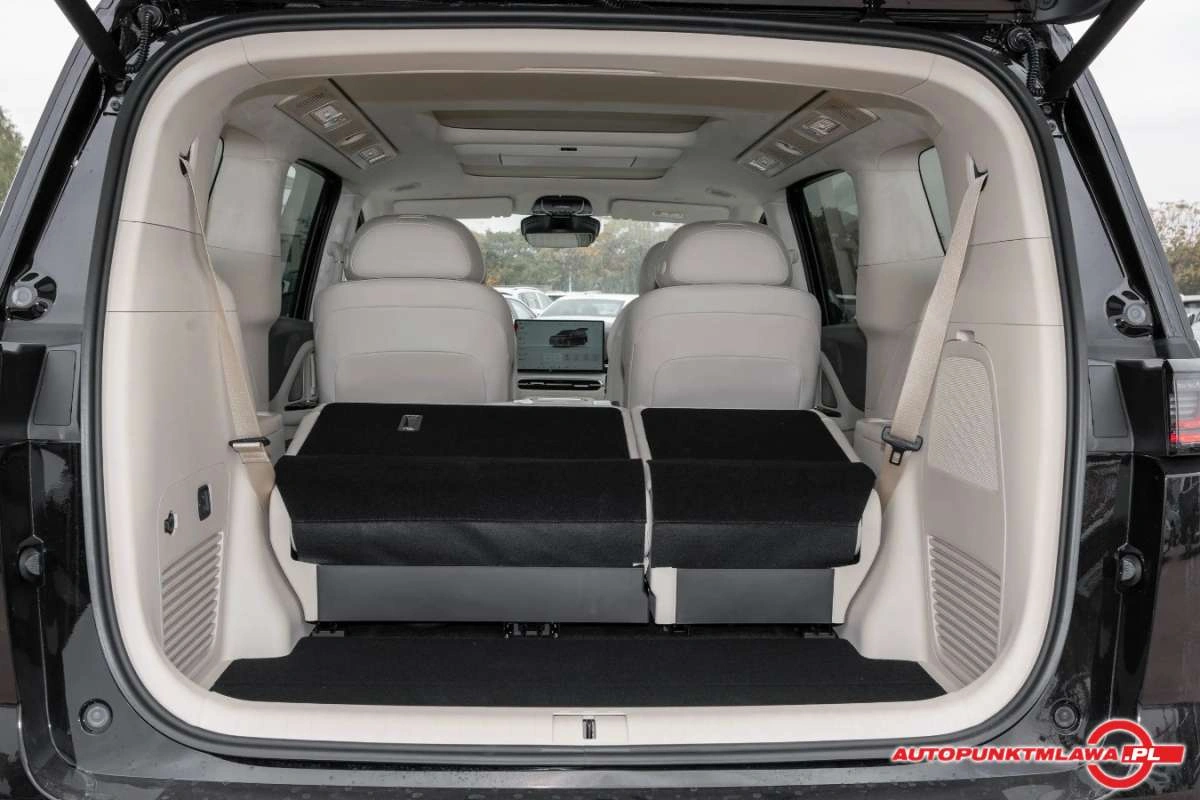 Voyah Dream - Zdjęcie 25