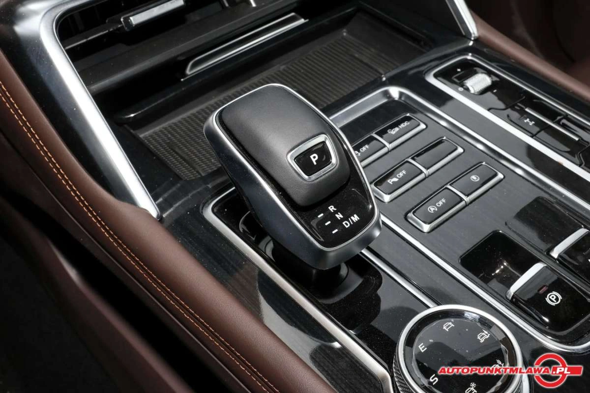 FOTON eTUNLAND - Zdjęcie 11