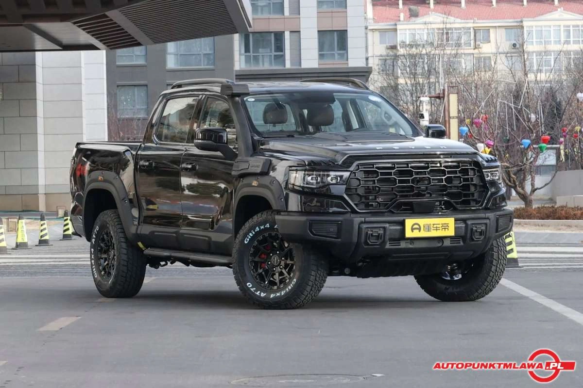 FOTON eTUNLAND - Zdjęcie 2