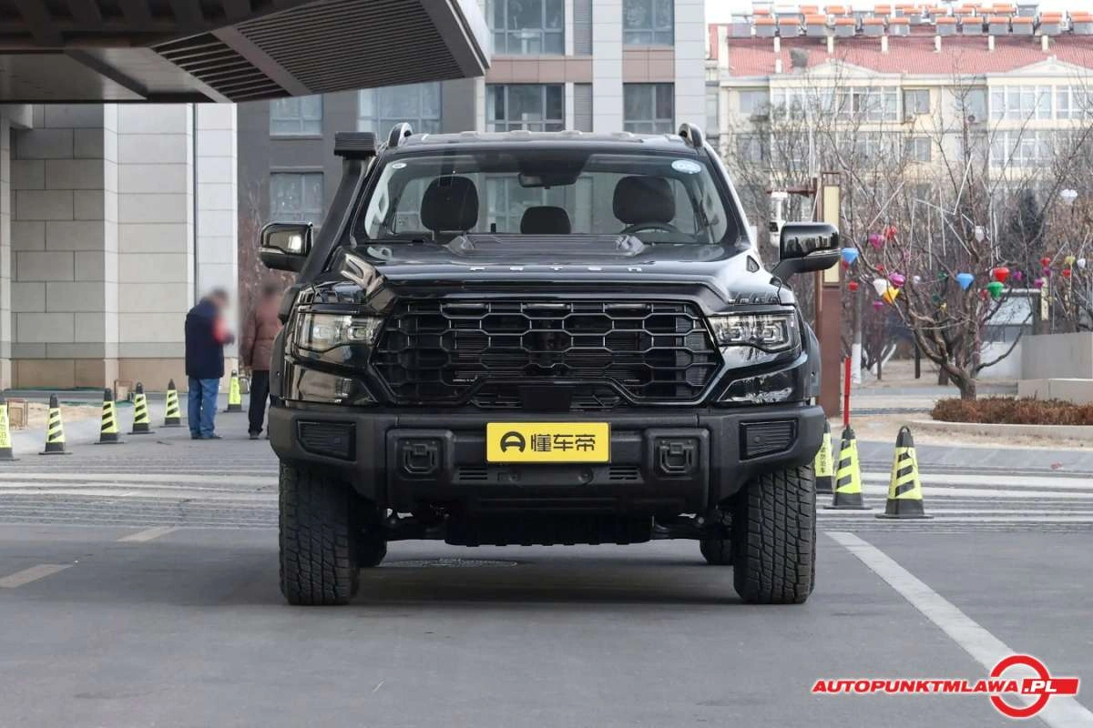 FOTON eTUNLAND - Zdjęcie 1