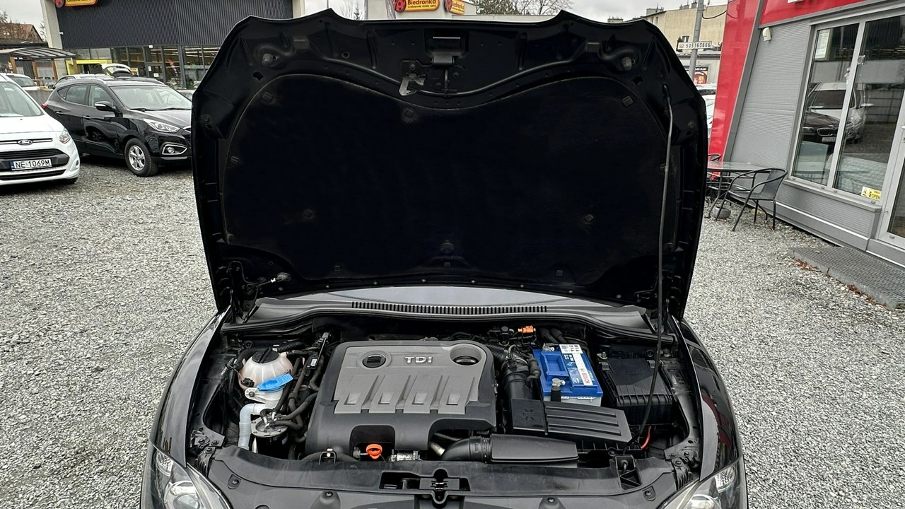 Seat Leon - Zdjęcie 20