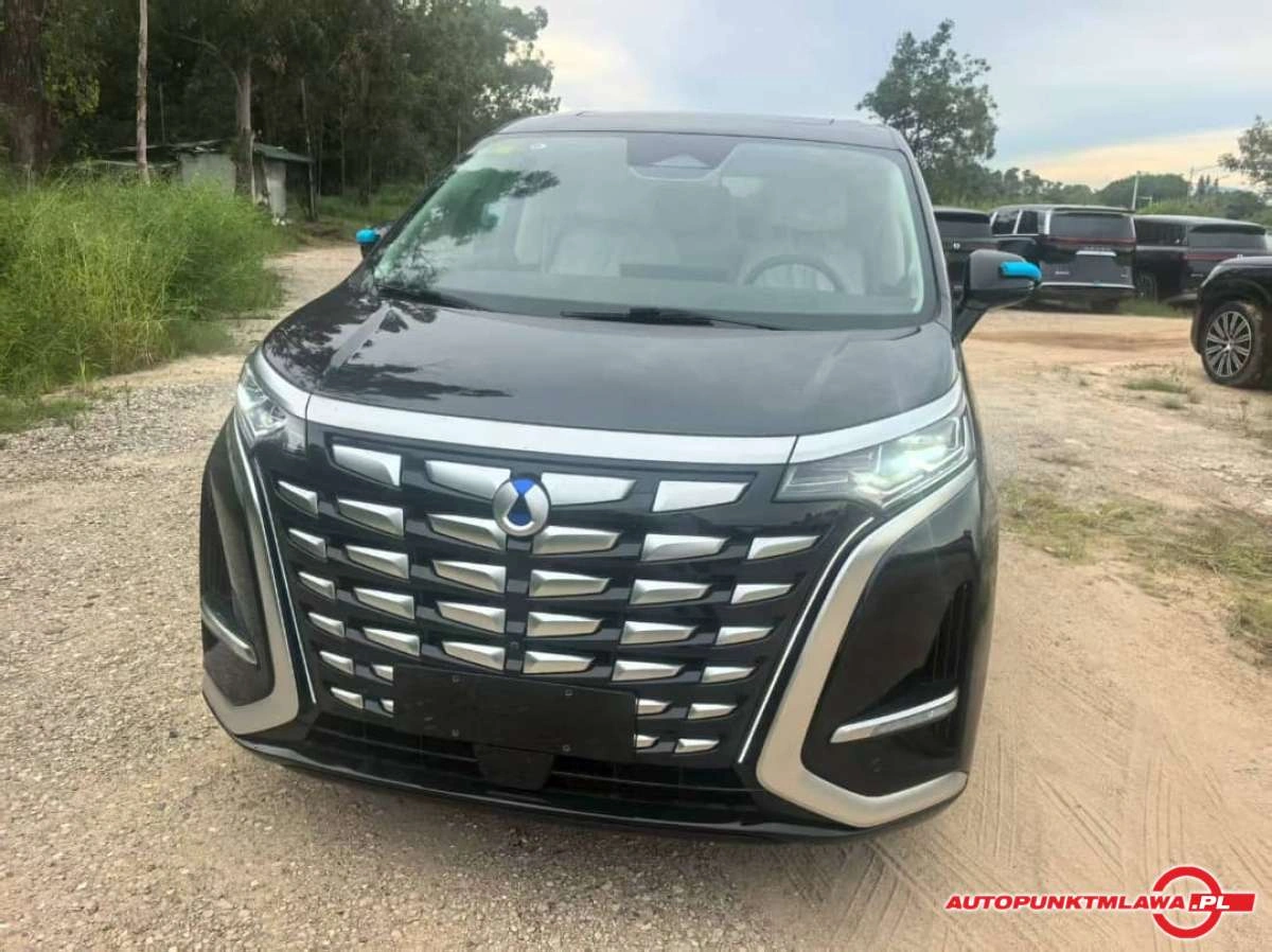 Denza D9 - Główne zdjęcie