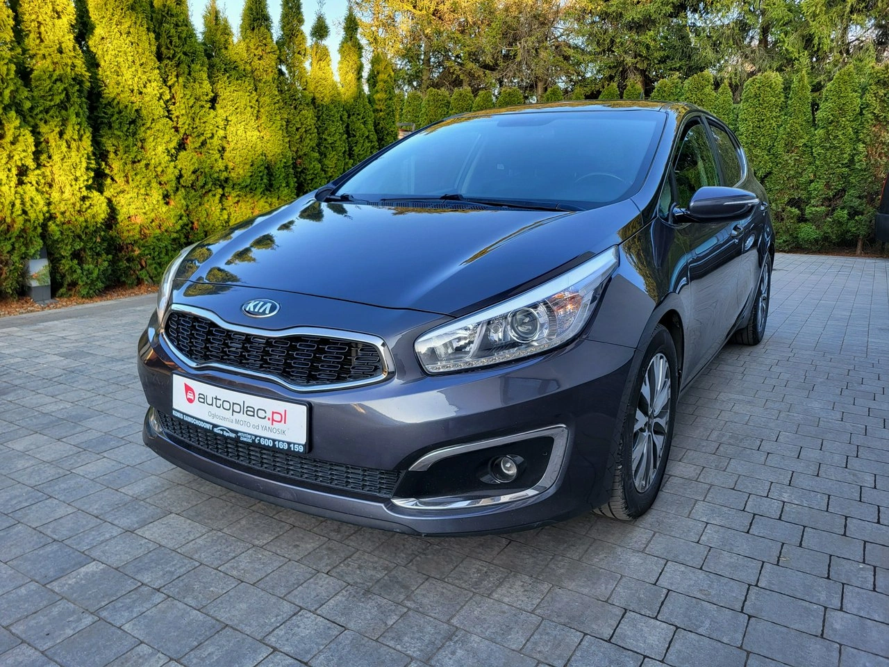 Kia Ceed - Główne zdjęcie