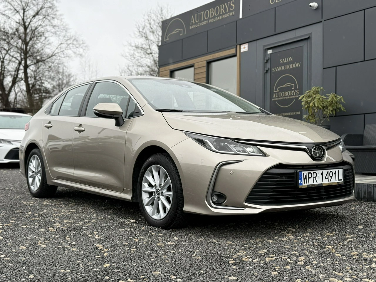 Toyota Corolla - Główne zdjęcie