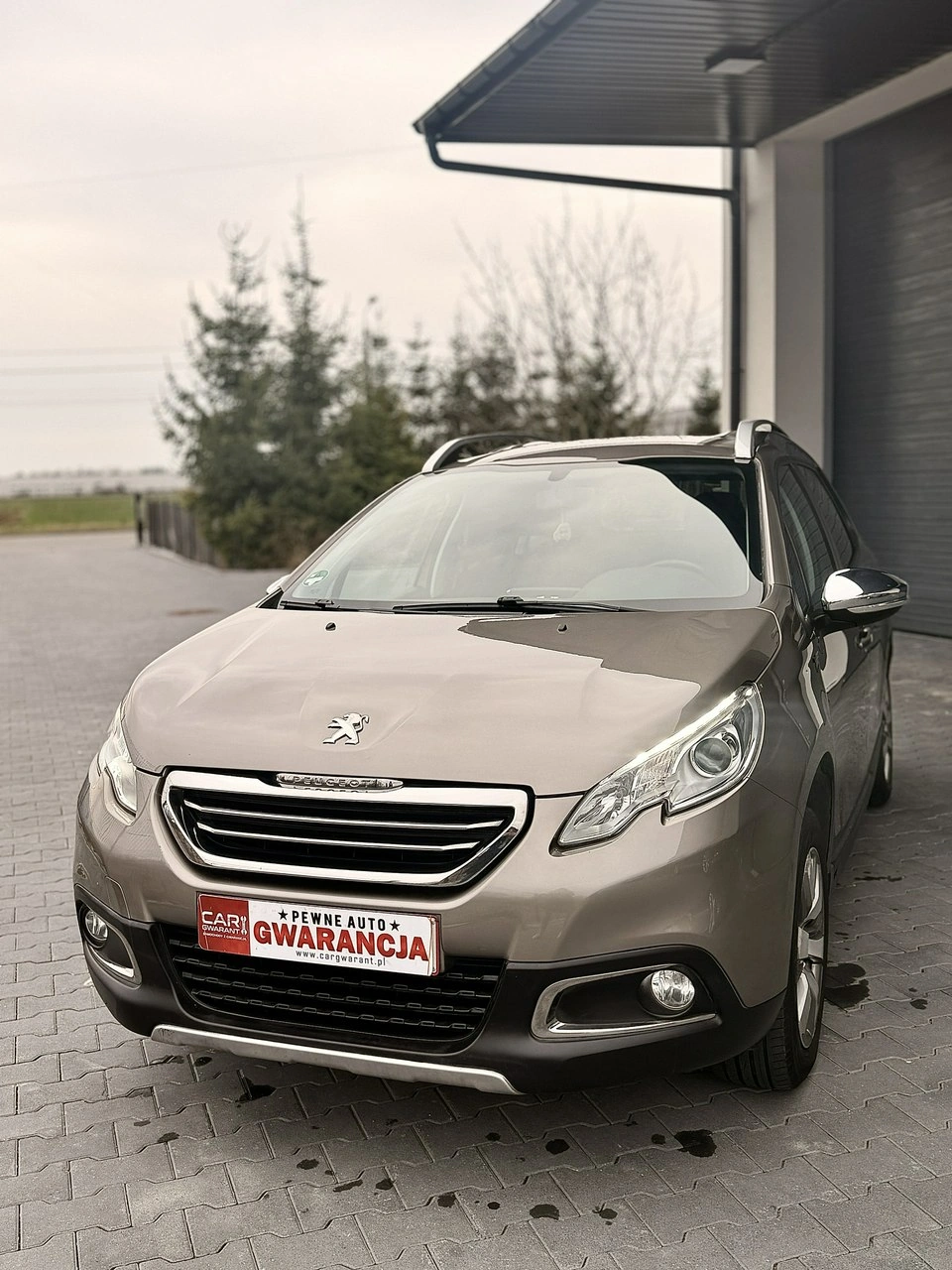 Peugeot 2008 - Zdjęcie 2