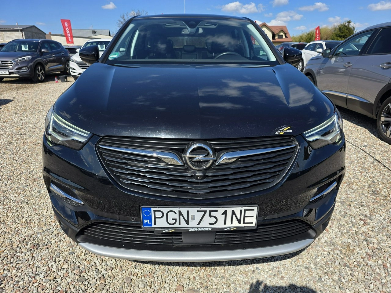 Opel Grandland X - Zdjęcie 8