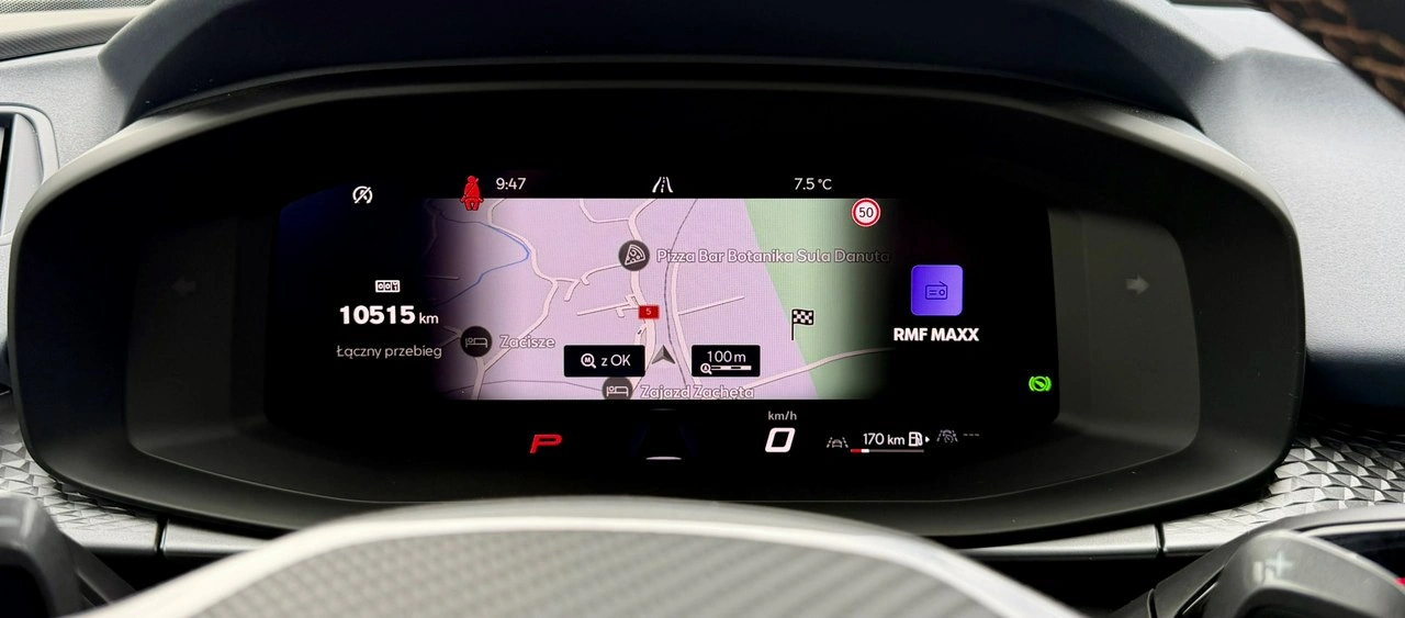 Cupra Terramar - Zdjęcie 36