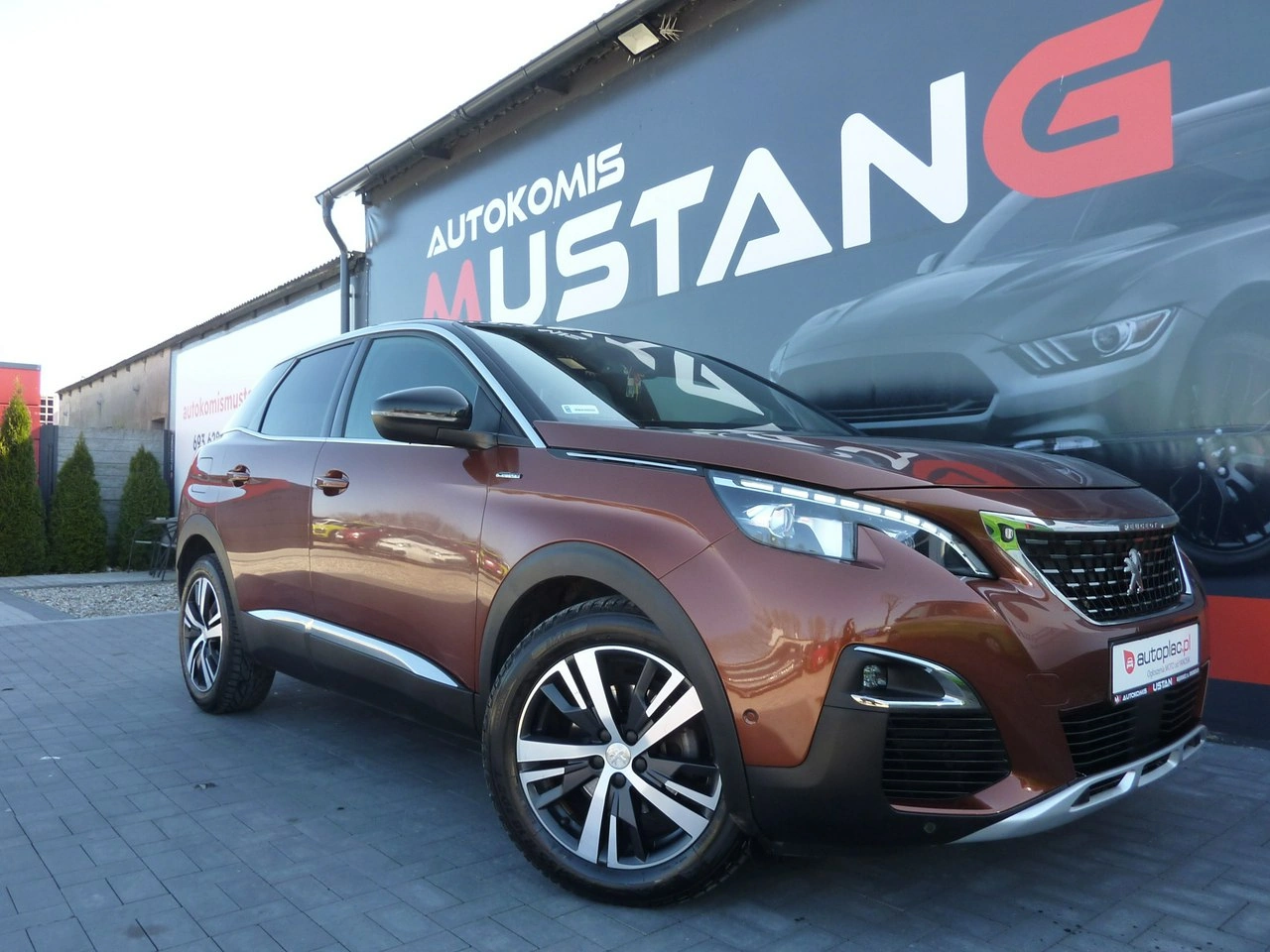 Peugeot 3008 - Zdjęcie 2