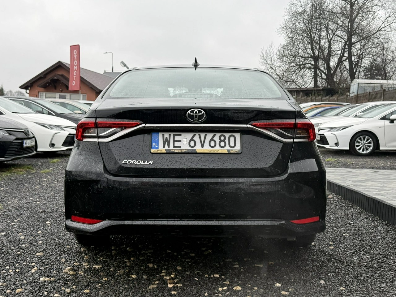 Toyota Corolla - Zdjęcie 6