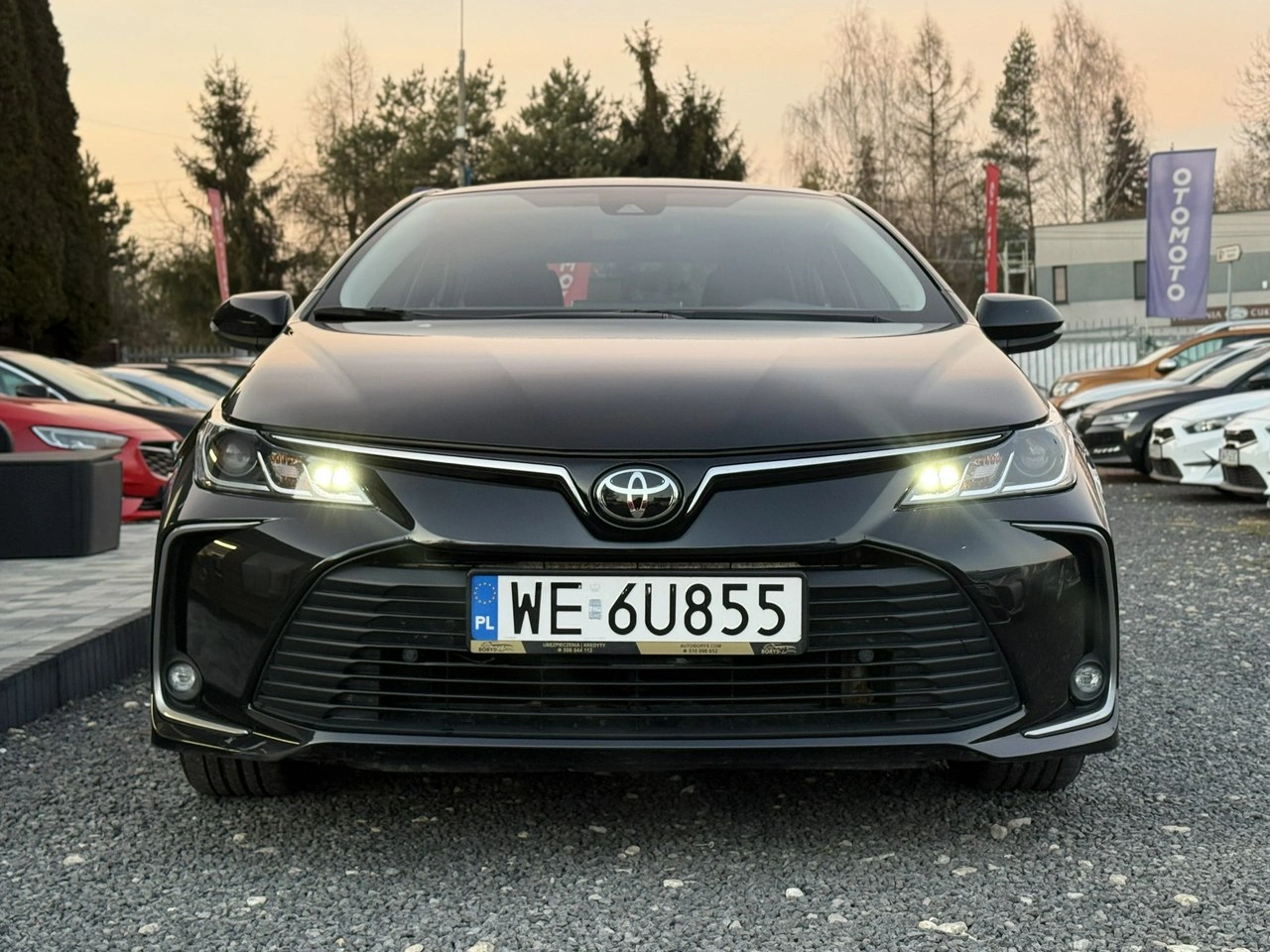 Toyota Corolla - Zdjęcie 6