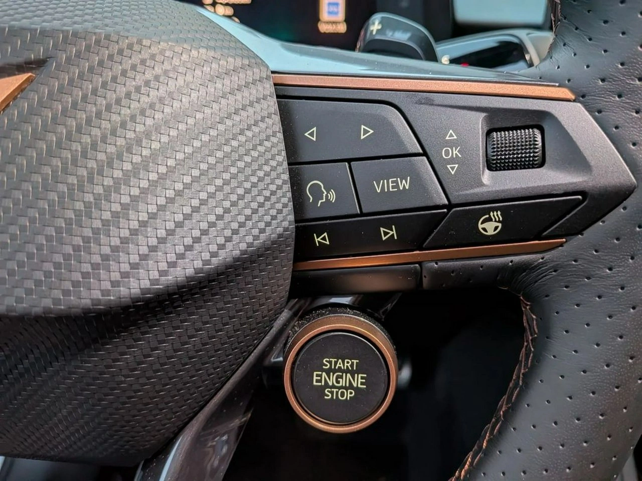 Cupra Terramar - Zdjęcie 30