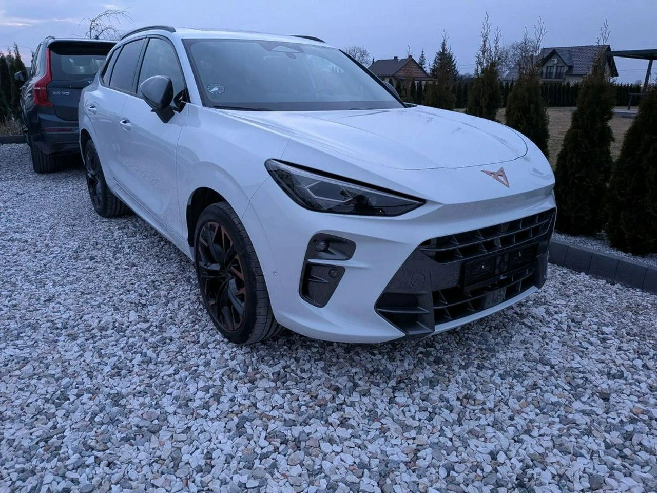 Cupra Terramar - Zdjęcie 4