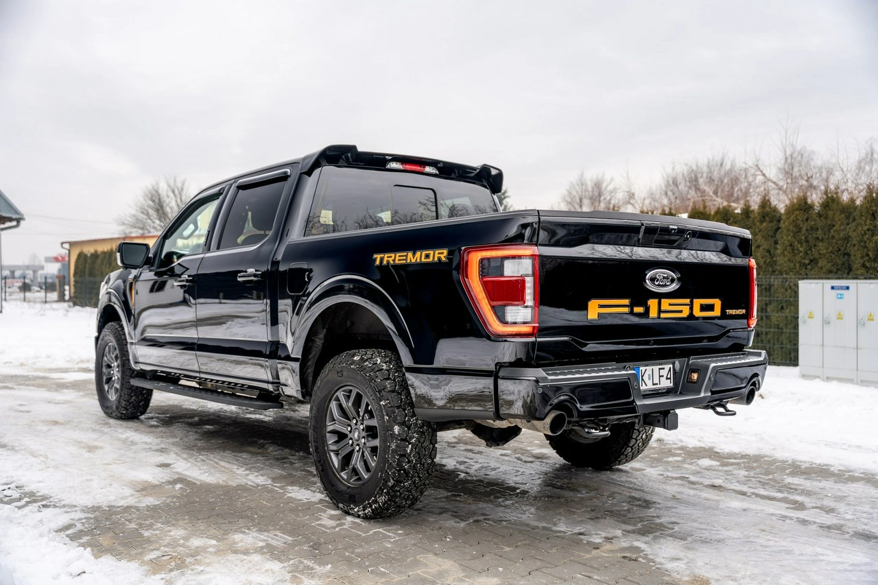Ford F150 - Zdjęcie 10
