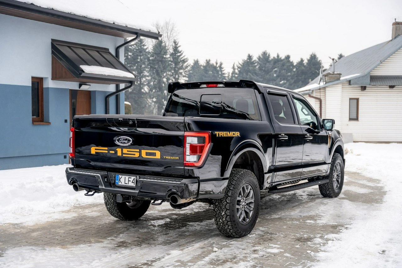 Ford F150 - Zdjęcie 3