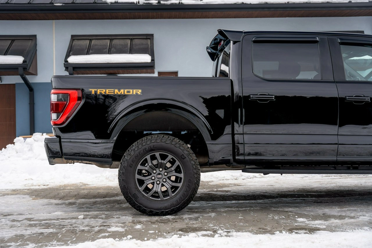 Ford F150 - Zdjęcie 7