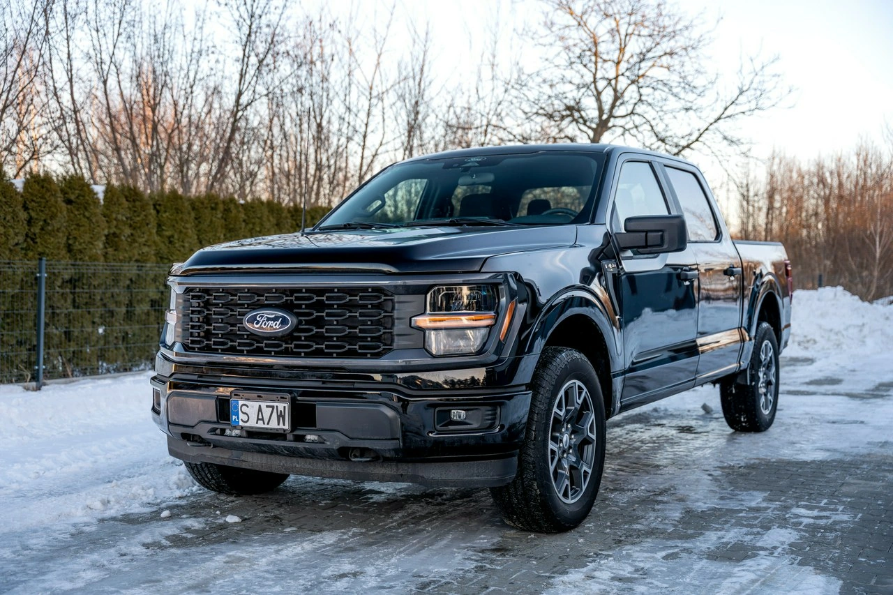 Ford F150 - Zdjęcie 11