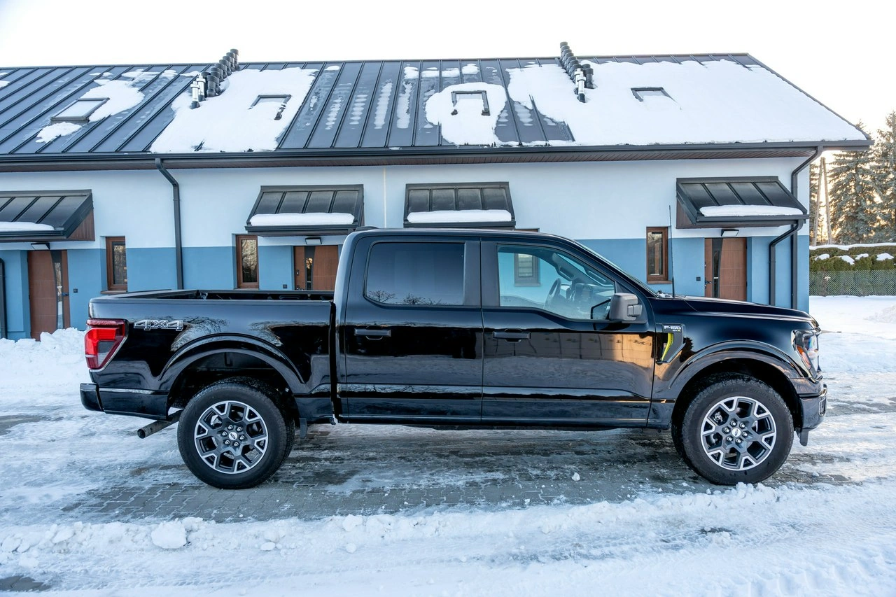 Ford F150 - Zdjęcie 15