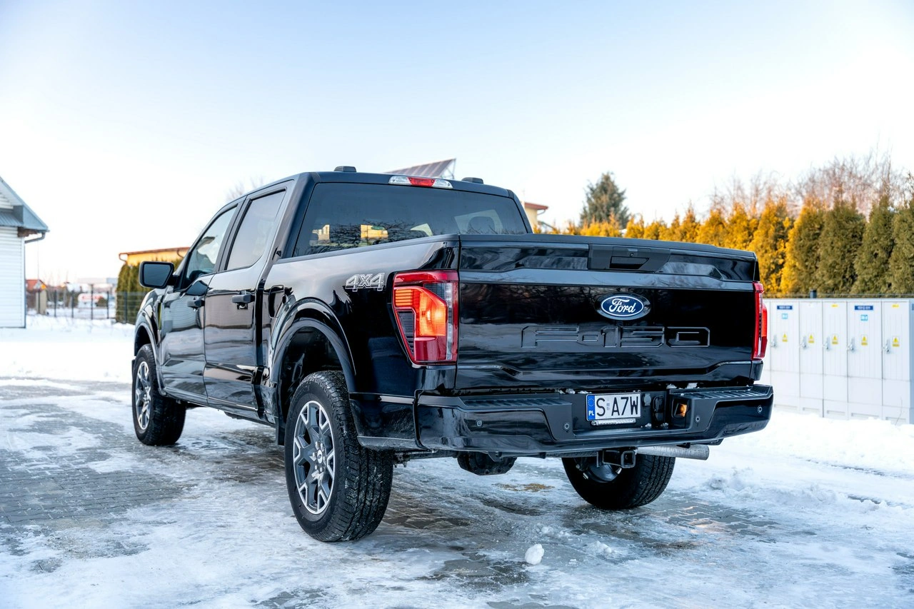 Ford F150 - Zdjęcie 18