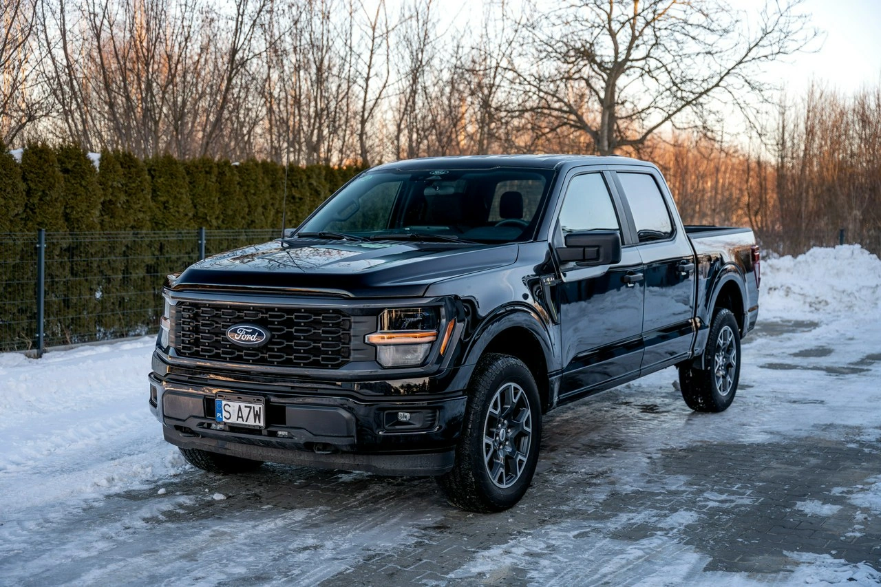 Ford F150 - Zdjęcie 19