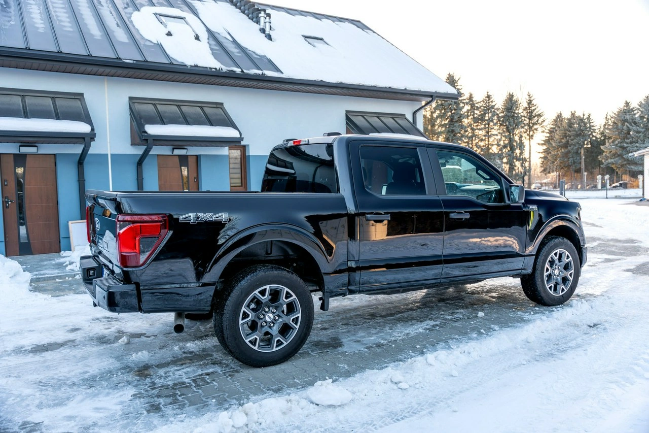 Ford F150 - Zdjęcie 20