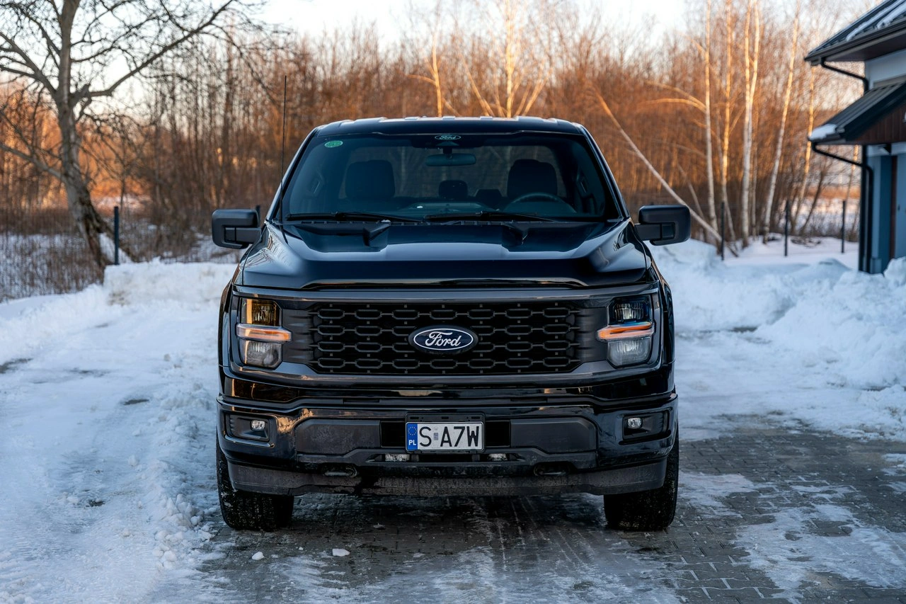 Ford F150 - Zdjęcie 21