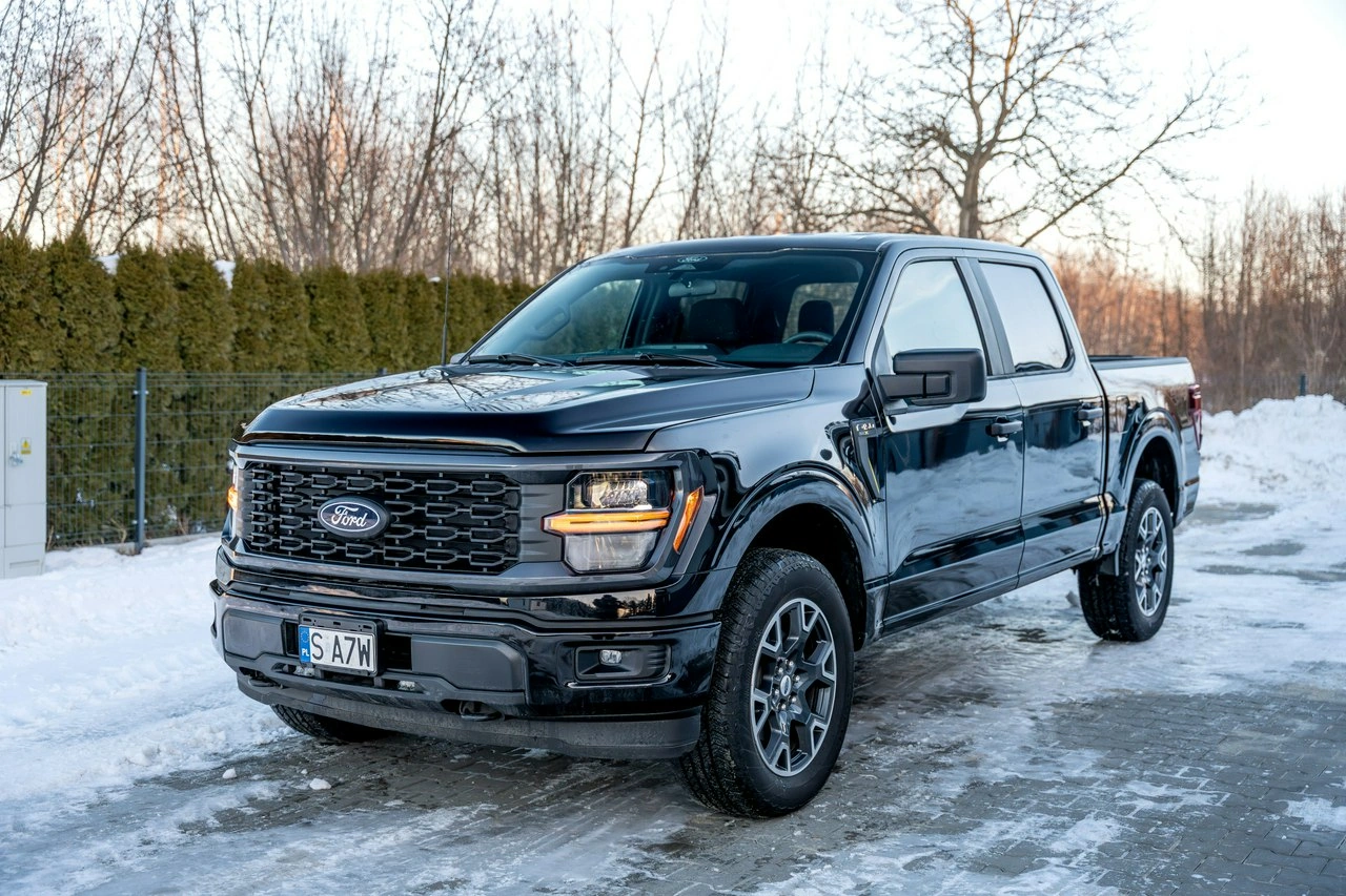 Ford F150 - Zdjęcie 2