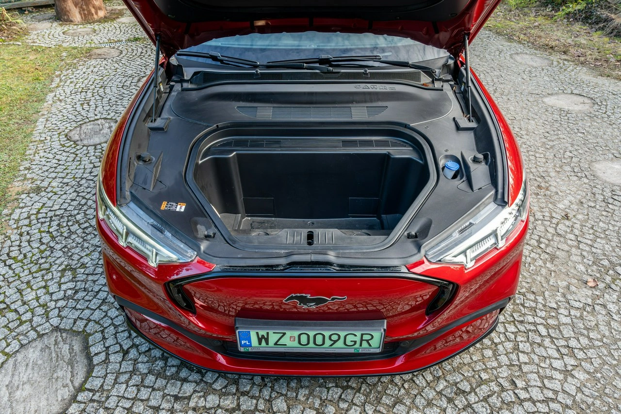 Ford Mustang Mach-E - Zdjęcie 39