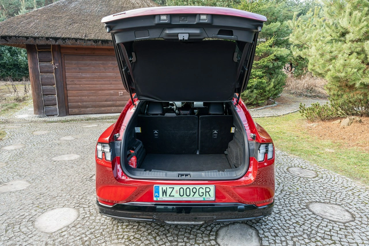 Ford Mustang Mach-E - Zdjęcie 41