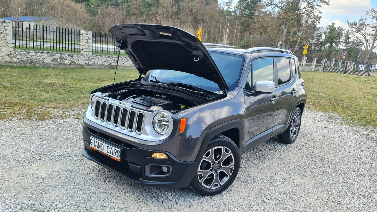 Jeep Renegade - Zdjęcie 31