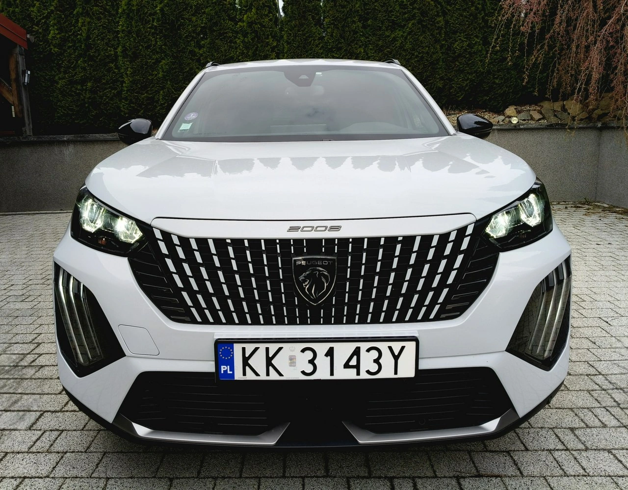 Peugeot 2008 - Zdjęcie 20