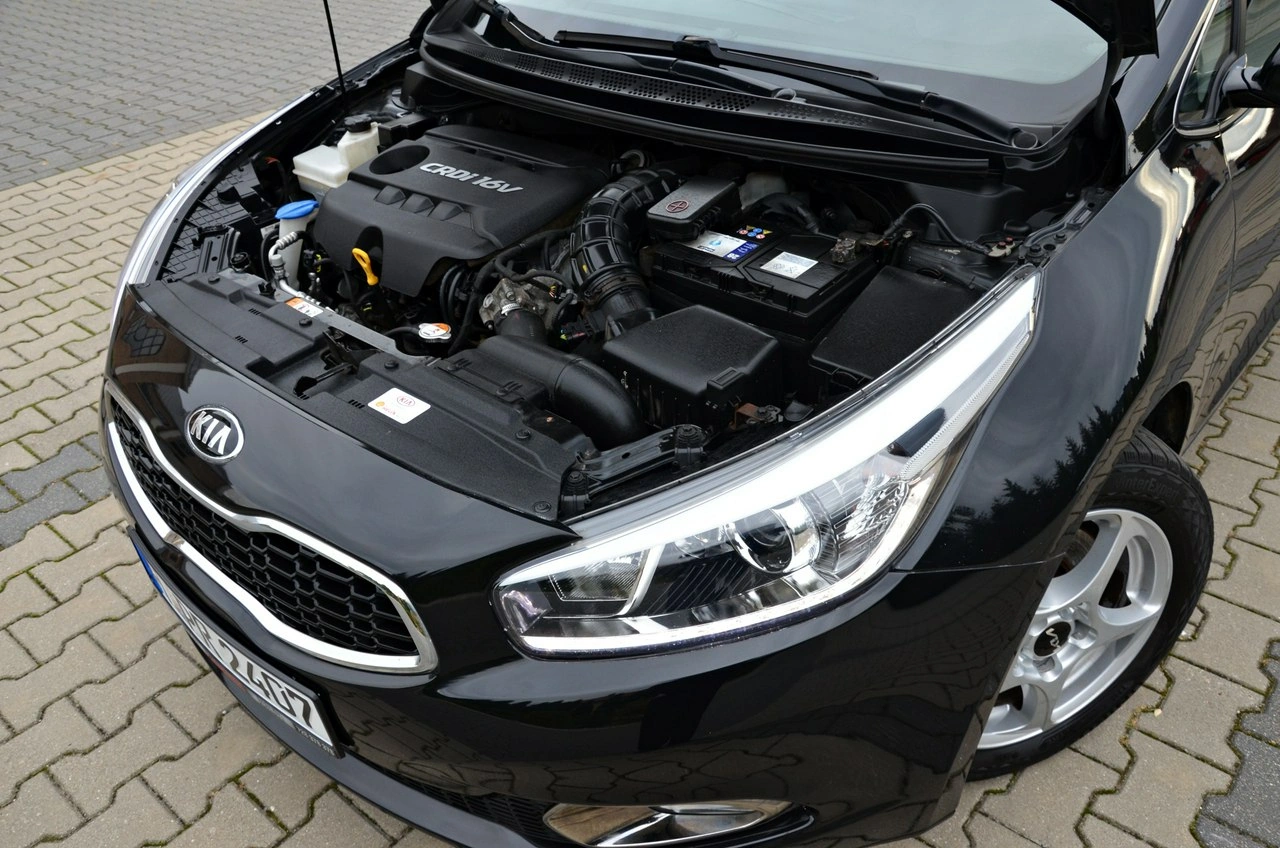 Kia Ceed - Zdjęcie 38