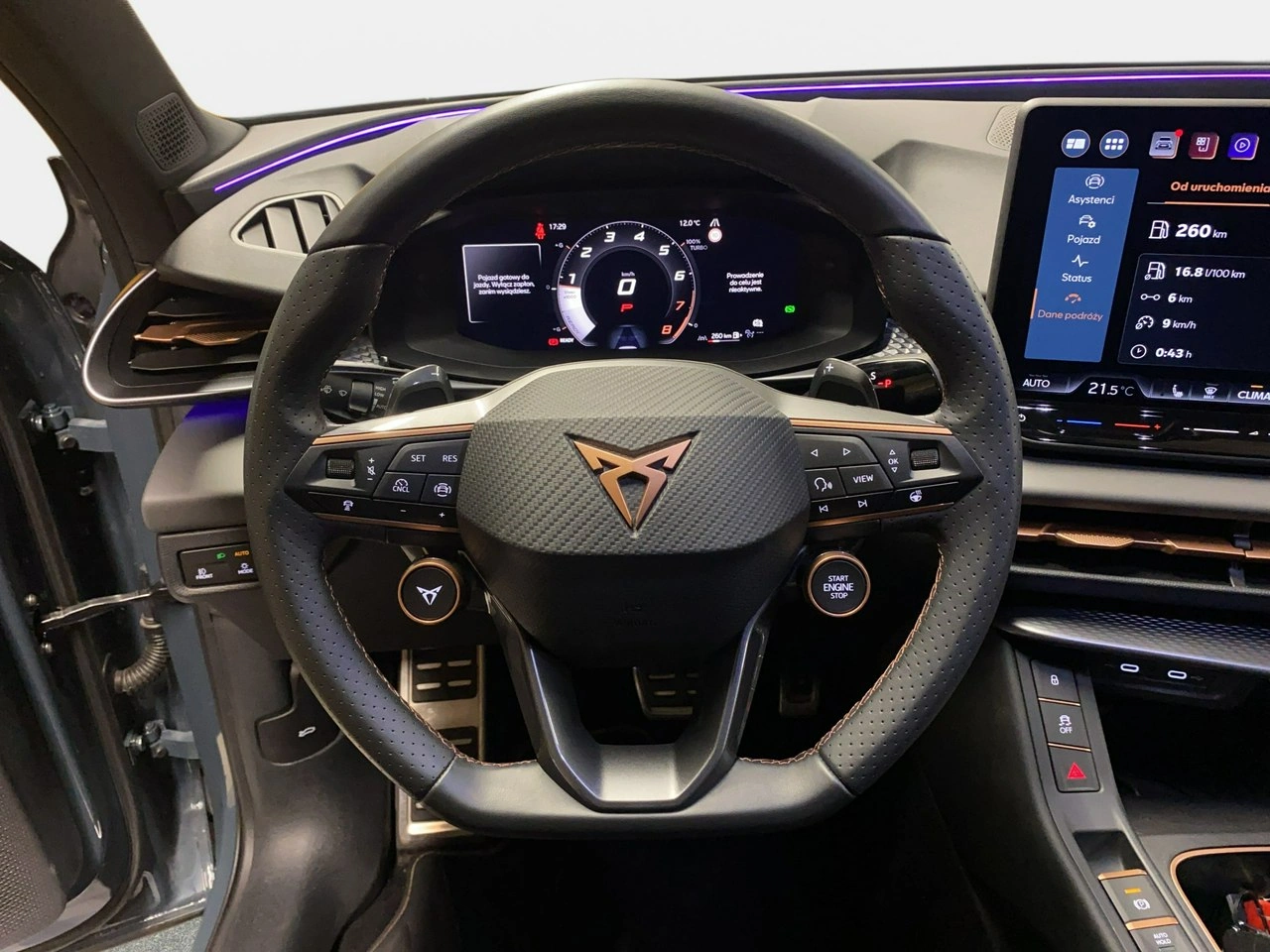 Cupra Terramar - Zdjęcie 21