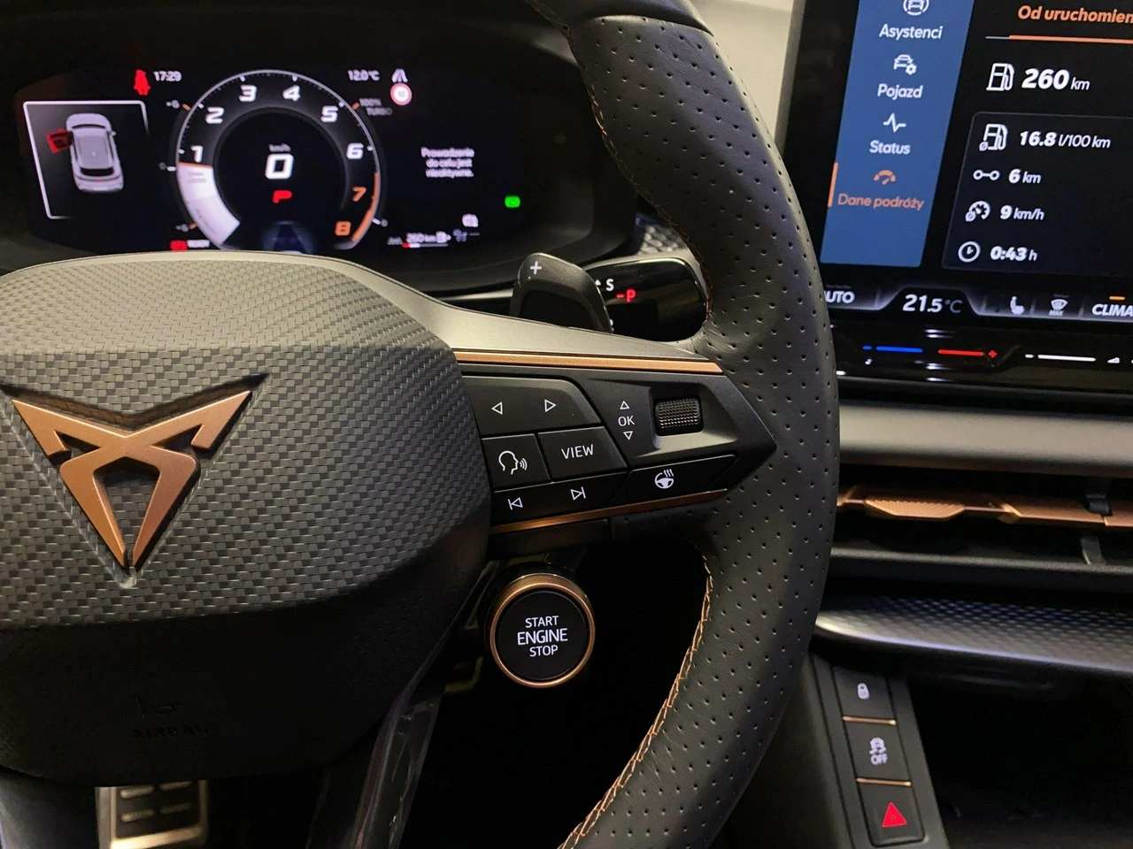 Cupra Terramar - Zdjęcie 23