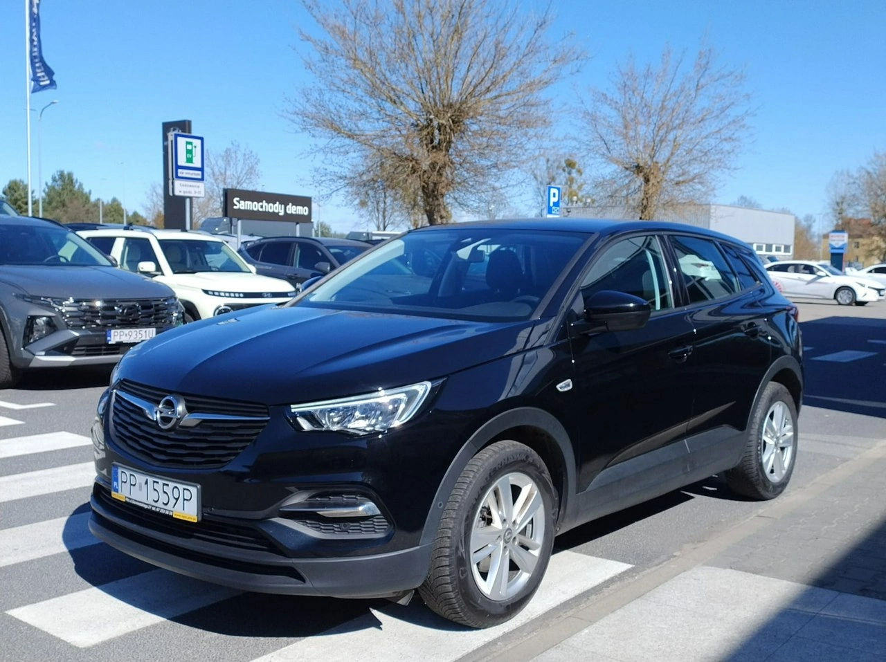 Opel Grandland X - Zdjęcie 6