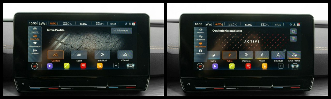 Cupra Formentor - Zdjęcie 19